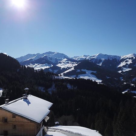 Ferienwohnung In Panorama Alleinlage Kitzbueheler Alpenwild63 By Fewo-Plan Schwarzenau  Exteriör bild